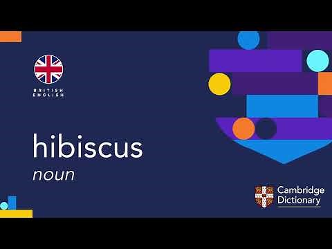 How to pronounce hibiscus noun | British English and American English pronunciation