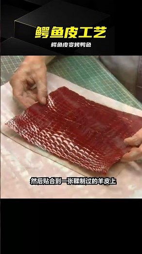 Crocodile Skin Handbag Making: Transformed into a Peking Duck - Color Treatment and Re-stitching ...
