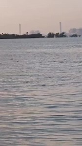 Sekumpulan kaki pancing gempar selepas seekor buaya besar timbul di permukaan laut ketika mereka memancing di Jeti Shell, berhampiran Kampung Gelam, Port Dickson petang tadi. | Kosmo Online