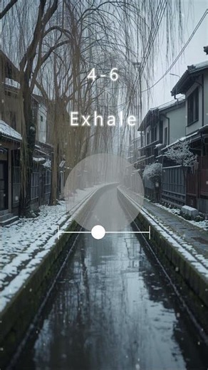 4-6 Breathing for Stress Relief | Settling Breathwork #breathingtechniques #breathwork