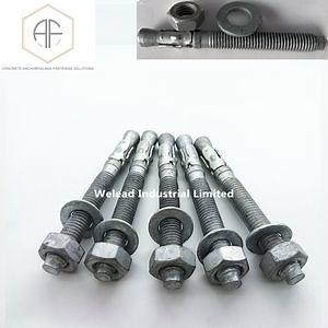 [Hot Item] Hot Galvanized Wedge Bolt Prestressed Concrete Carbon Steel Wedge Anchor with Spare Parts Fasteners Trubolt for Fitting Made in China Heavy Duty Throughbolts