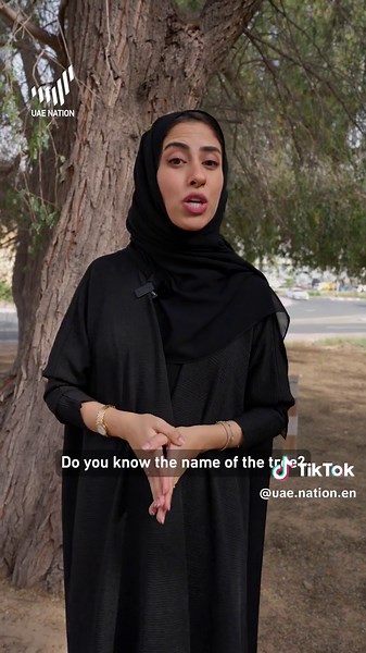 Discover the Secrets of the UAE's Prohibited Raft Tree