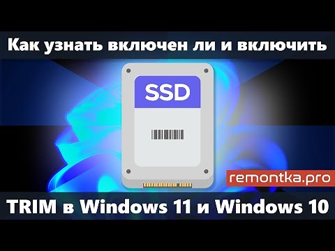 How to Enable TRIM for SSD in Windows 11 and Windows 10 and Find Out if TRIM is Enabled