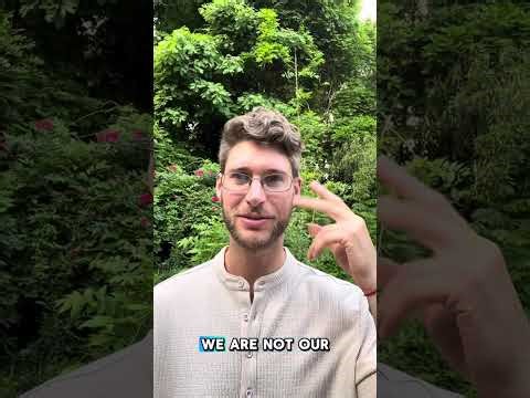 The Observer’s Awakening & Quantum Alignment