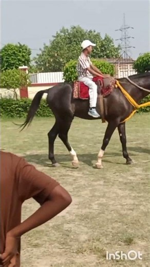 Little Flower’s sinior Riders: Exploring the Joy of Horse Riding! 🐎"