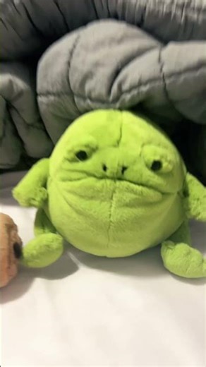 Peg + cat! #jellycat #fypシ゚viral #frog #croissant