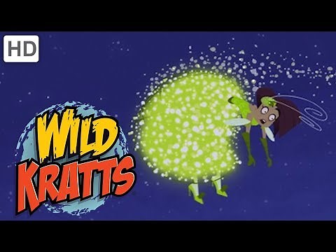 Wild Kratts 👜 Part 1: Creature Rescue from the Evil Fashion Designer | Kids Videos