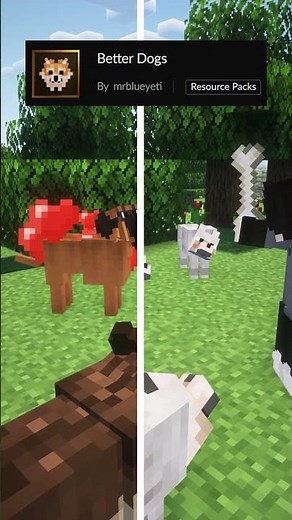 Minecraft's BEST Resource Packs