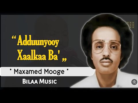 Maxamed Mooge | Adduunyooy Xaalkaa Ba' | Qaraami Bilaa Music ah With Lyrics