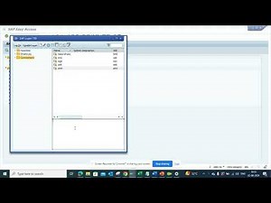 How to store information in Notes in SAP Gui