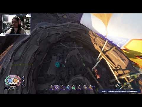 Décimo dia em um quintal surpreendente!