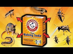 Baking Soda Miracle: Banish Fleas and Mice Forever.