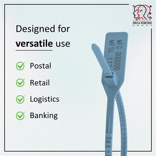 Mini Fort Single Lock (MFSL) Introduction