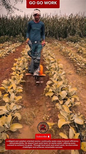 Farmer Using Mini Cultivator for Inter-Row Soil Loosening #tools #machine
