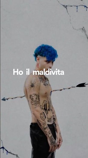 Plant, MALDIVITA (Testo - Ritornello/Lyrics)