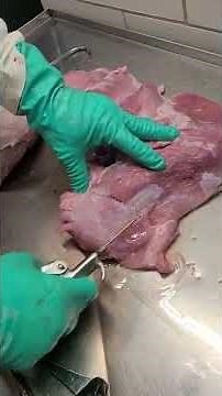 Making Hams injecting the curing solution