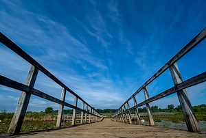 Crosswinds Marsh - New Boston, MI