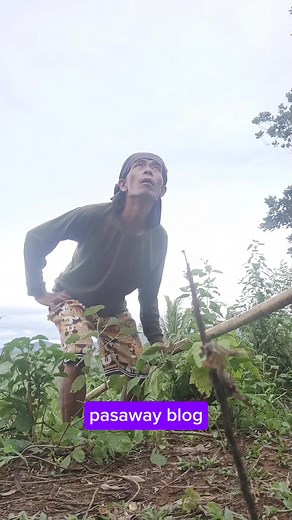 #funnyreels #funnymemes #funny | Berting Quides