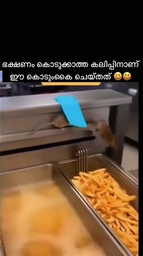 Italian Chef🧑‍🍳 🇪🇺🇵🇹🇬🇧 (@suneer_chef_europe)’s videos with original sound - Italian Chef🧑‍🍳 🇪🇺🇵🇹🇬🇧