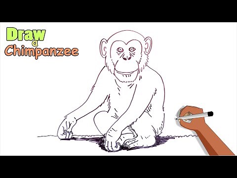 How to draw a chimpanzee easy