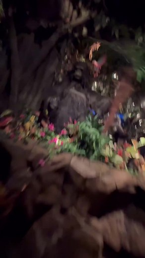  GRAPEVINE’S WILDEST DINING EXPERIENCE? 女 At The Rainforest Cafe,...