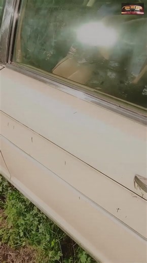 A classic car discovery