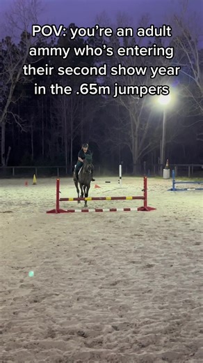 My goals for the 2023 show season: canter an entire course, make it to a jump-off without forgetting the jump-off course, enter at least 3 shows, get a reserve champion ribbon at #PHJA! Setting achievable goals is important, but I also like to aim high. #showjumping #ottb #adultamatuer #adultammy