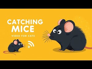 Video for Cats 🐱 | Mouse Chase Game 🐭 | Endless Fun for Cats