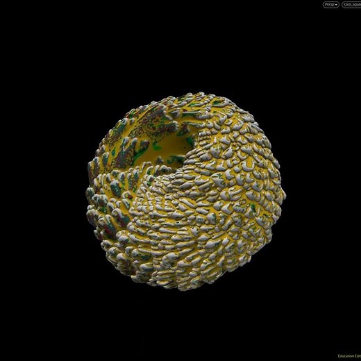 houdini tutorials: surfaces