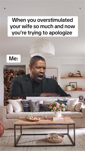 Overstimulated Apology: Funny Memes to Relate To
