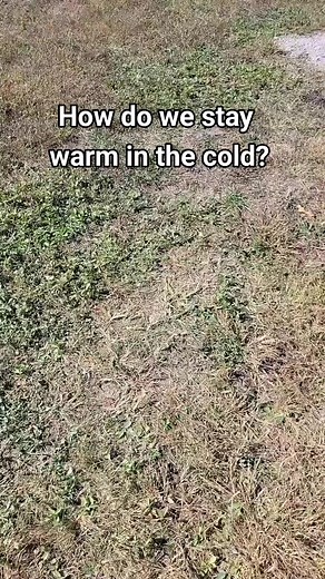 Effective Tips for Keeping Your RV Warm During Winter | RV Winterization