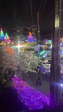 The "Night Cherry Blossom Jewel Illumination" at Yomiuri Land is beautiful. #NightCherryBlossoms ...