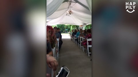 Couple chooses dogs over destination wedding
