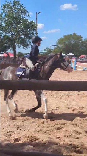 full raw of iea show! #equestrian #showjumping #iea #equestrianjourney #horseenthusiast