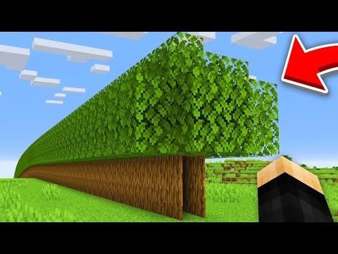 Minecraft, But There's Custom Trees...