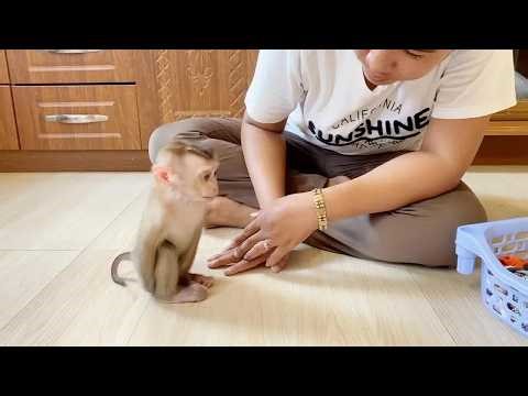 Lil DAM Looks Very Itchy From Diaper Rash Now