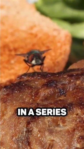 🪰 The Fly Has SUPERPOWERS | How are Flies so Fast?