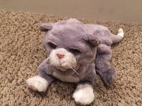 Hasbro FurReal Friends Newborns | Kitten | Grey & White