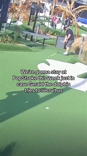 Gerald if you’re reading this…. We could actually build you a really great mini golf course in your city #dolphin #floridaman