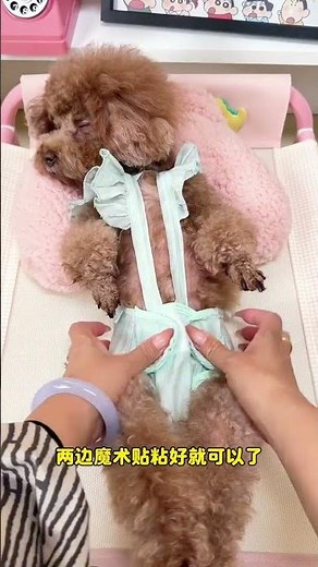 Must-Have Baby Girl Underwear: Prepare in Advance