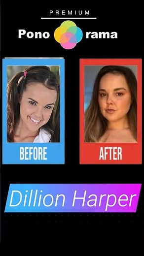 Public Image Then vs Now — Dillion Harper