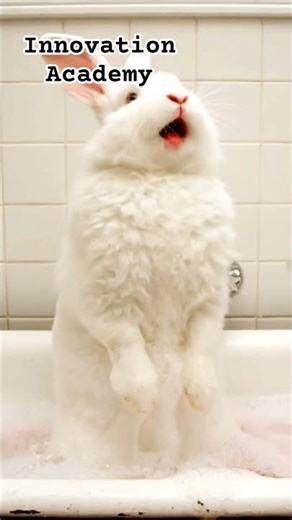 Rabbit Bathing #hindicartoon #cartoon #ytshorts #funny #shortvideo #viralreels #kidscartoon #kids