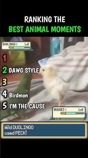 TRUST ME 😭YOU NEED THIS |SUBSCRIBE FOR MORE|#funny #animal