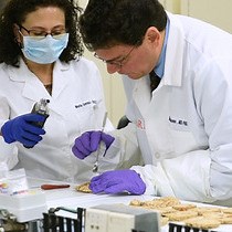 Video: Symmetric Bihemispheric Postmortem Brain Cutting to Study Healthy and Pathological Brain Conditions in Humans