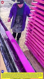 Why Are These Wooden Boards Dipped in Purple Liquid? #woodworking #viral #process #smart #ideas