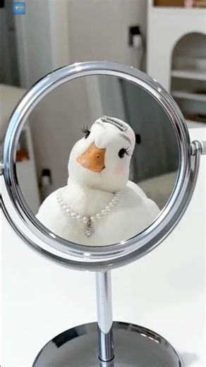 The cutest duck in the world.😱😱