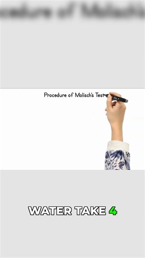 How to Perform the Molisch Test: Step-by-Step!