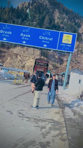 Understanding Accountant Trends on TikTok