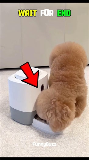 Genius Puppy Fixes Snack Machine to Get Food 🐶✨