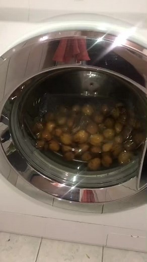 Washing Fresh Walnuts in a Washing Machine